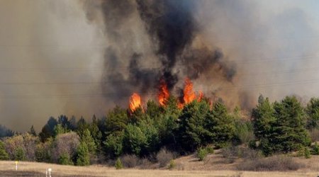Пожар в Исмаиллы потушен, а в Шабране ограничен