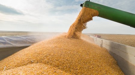 Kazakhstan removes restrictions on grain & flour exports