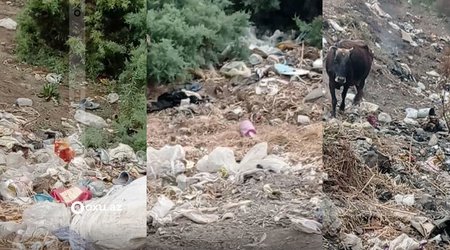 В Агджабединском районе село превратили в мусорную свалку