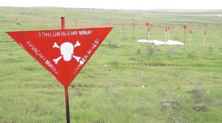 ANAMA: На освобожденных территориях обнаружено еще 69 мин