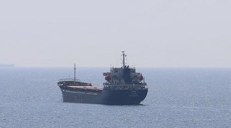 7 dry cargo ships with agricultural products leave Ukrainian ports