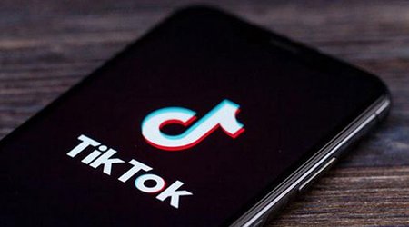 Работа TikTok временно приостанавливается - СГБ