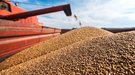 11 vessels carrying food leave Ukrainian ports