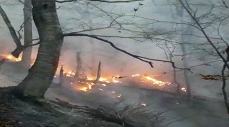 Azərbaycana 16 milyard manatdan çox ekoloji ziyan vurub