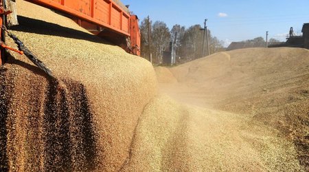 Turkiye expects grain deal to be extended
