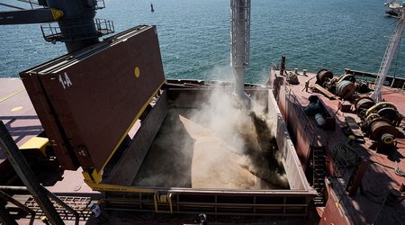 Several countries stop importing grain from Ukraine