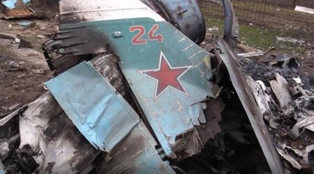 Su-34 aircraft crash in Yeysk caused by birds caught in engine
