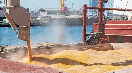 Turkiye regrets Russia's decision on grain deal