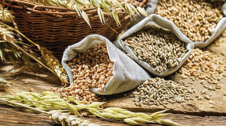 Turkiye, Russia working on list of countries for export of grain and fertilizers