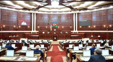 Милли Меджлис подготовит заявление в связи с принятой Сенатом Франции резолюцией
