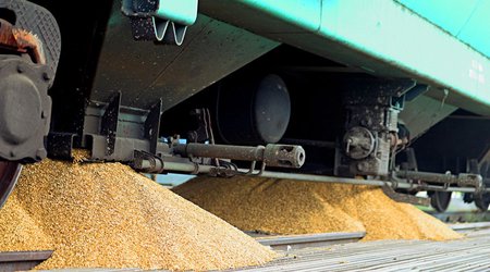 Kazakhstan, Russia to mull tariffs on transit of Russian grain