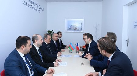 Azerbaijani, Czech FMs hold meeting