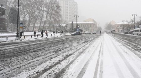 МВД обратилось к участникам дорожного движения