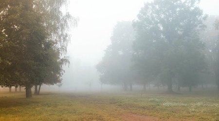 В Баку и на Абшеронском полуострове ожидаются туман и изморось