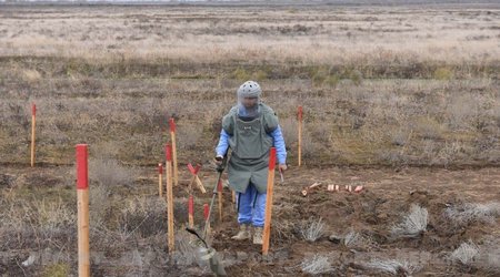 Demining of Azerbaijan's liberated lands may take around 30 years, deputy minister says