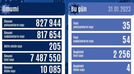 Статистика по коронавирусу в Азербайджане