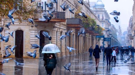В Баку будет дождливо
