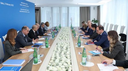 Azerbaijan, Italy mull cooperation in renewable energy