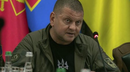 Залужный пообещал, что украинская армия освободит Мариуполь в этом году