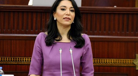 2022-ci il Ombusdmana iyirmi altı minə yaxın müraciət daxil olub