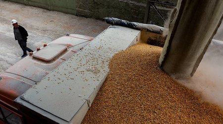 Kyiv holding online talks with partners on grain export deal extension