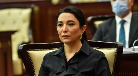 Ombudswoman: Armenia continues to pollute Azerbaijani territories with mines