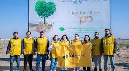 Yelo Bank принял участие в акции по посадке деревьев