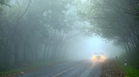 Из-за густого тумана видимость на некоторых автомагистралях будет ограничена