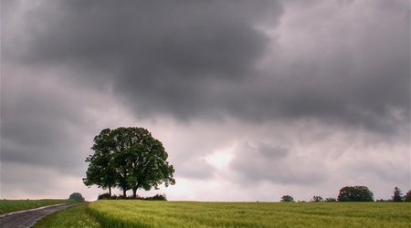 Фактическая погода в Азербайджане