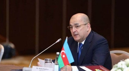 Шахин Багиров уволил начальника за недочеты