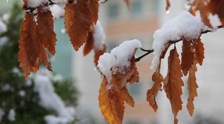 На территории Азербайджана продолжаются осадки, в предгорных и горных районах выпал снег