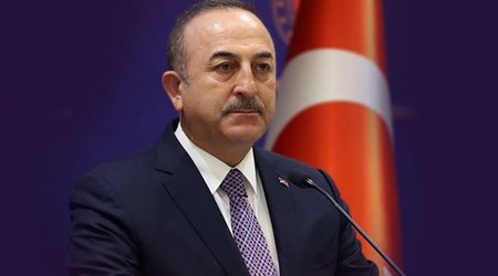 Cavusoglu: Islamaphobes have gone too far