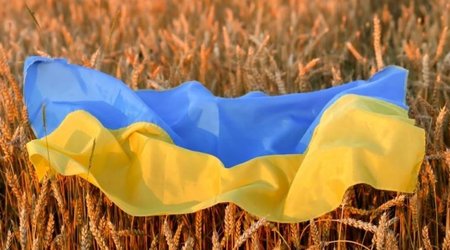 Polşa Ukrayna taxılının idxalını dayandıracaq