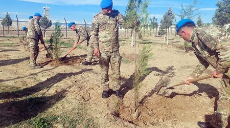 В Азербайджанской армии продолжаются акции по посадке деревьев