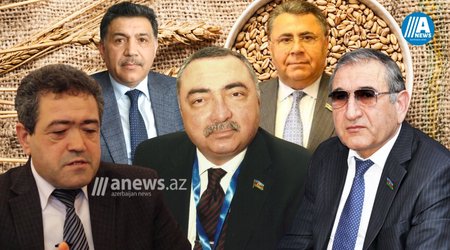 Rusiya taxıl müqaviləsini uzatmasa Azərbaycanda çörək bahalaşa bilərmi? - TƏHLİL