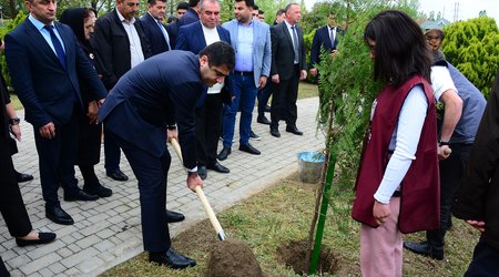 Еще в 3 районах разбиты «Сады Родины»