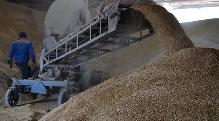 Lithuania is ready to export 1M tons of Ukrainian grain by rail