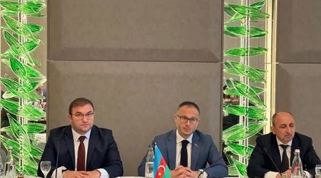 Berlində Qərbi Azərbaycana qayıdış mövzusunda konfrans keçirildi - FOTO