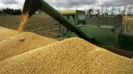 Last ship to leave Ukraine today within grain deal