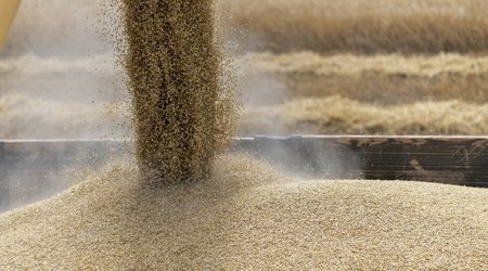 Geneva to host Russia-UN consultations on grain deal