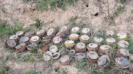 Sweden invited to participate in demining process in Azerbaijan's liberated territories