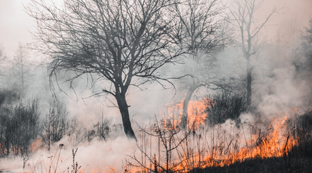 Qazaxıstanda meşə yanğınları davam edir, ölənlər var