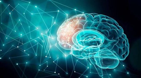 Dünyada insan beyni olan ilk çip yaradıldı
