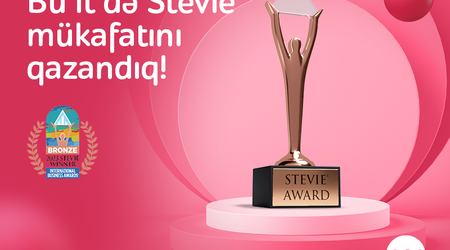 "Nar" удостоен премии "Stevie"