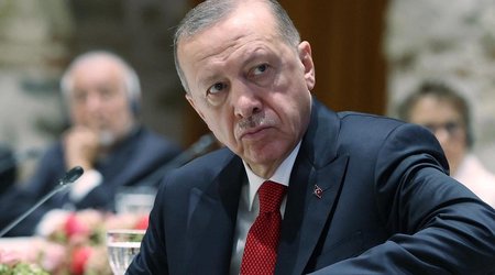 Erdogan meets Elon Musk