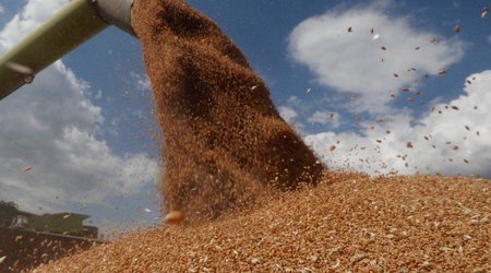 Üç ölkə Ukrayna taxılına dair AK-nın platformasında iştirakdan imtina edib