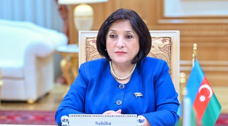 Sahibə Qafarova - Qarabağdakı erməni vətəndaşlar üçün bütün tədbirlər görülür