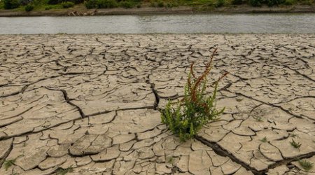 ФАО: Азербайджан входит в число страдающих от нехватки воды стран