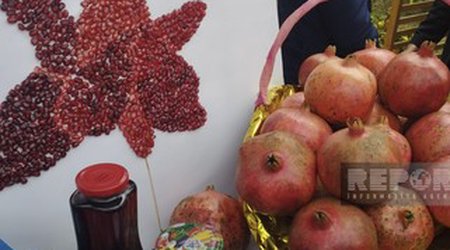 В Гёйчае проходит Фестиваль граната