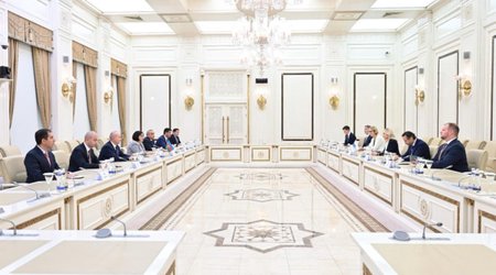 Сахиба Гафарова встретилась с главой ПА ОБСЕ и раскритиковала двойные стандарты